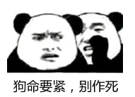 小火龙实验室!《猎手之王》机关投掷物居然还有化学反应?
