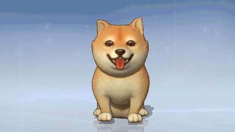 呆萌柴犬登录风云岛！宠物时装功能同步上线