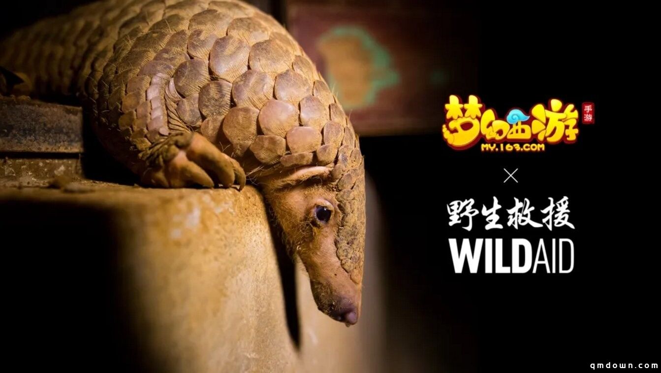 守望生灵！《梦幻西游》手游携手WildAid打造野生动物保护新玩法