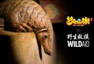 守望生灵！《梦幻西游》手游携手WildAid打造野生动物保护新玩法