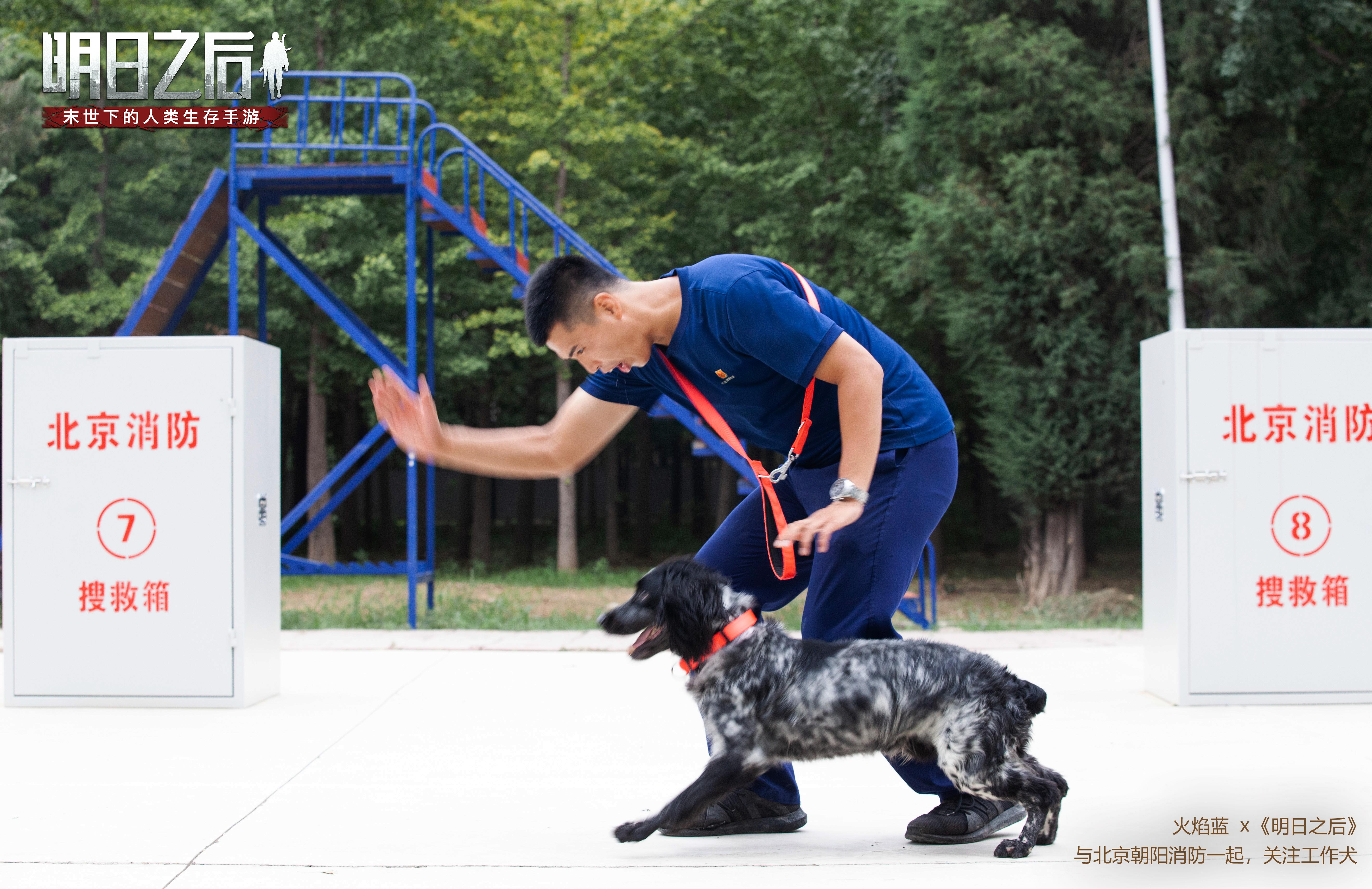 火焰蓝X《明日之后》科普开启，千万玩家共同关注工作犬