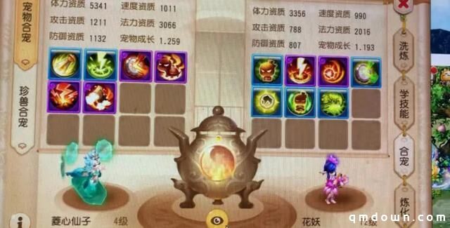 梦幻西游手游：大佬合宠又出货！一手6+7炸出10技能极品花妖