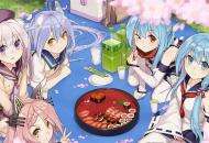 你认为的二次元风口，可能从来都只是错觉罢了