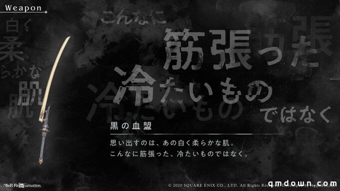 尼尔手游《NieR Re[in]carnation》新概念图：黑之血盟！