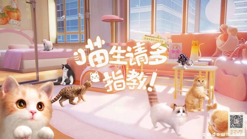 ChinaJoy超萌展区！《Project Cat》治愈猫咪吸引一众铲屎官