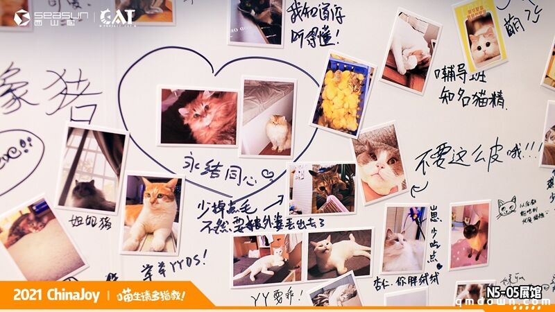 ChinaJoy现场撸猫！西山居《Project Cat》展区人类爱猫行为大赏