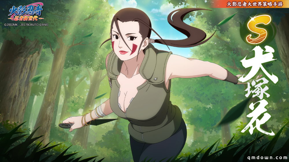 《火影忍者：忍者新世代》一族引以为傲的才女，非常聪明沉着！S忍犬塚花登场！