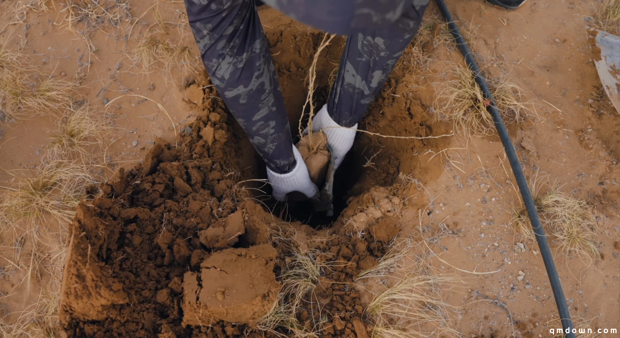 《无尽的拉格朗日》四年坚守初心,在荒漠植下五万株绿色希望!