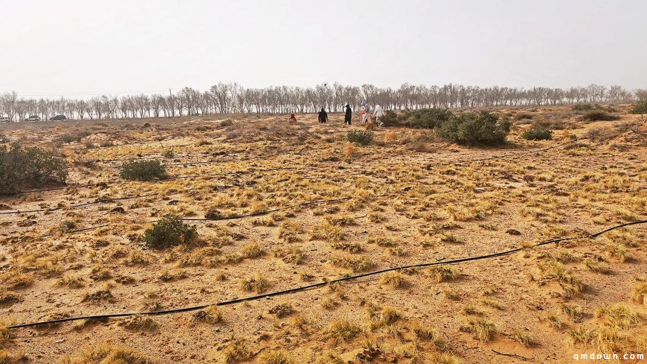 《无尽的拉格朗日》四年坚守初心,在荒漠植下五万株绿色希望!