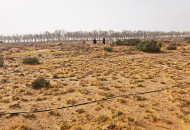 《无尽的拉格朗日》四年坚守初心，在荒漠植下五万株绿色希望！